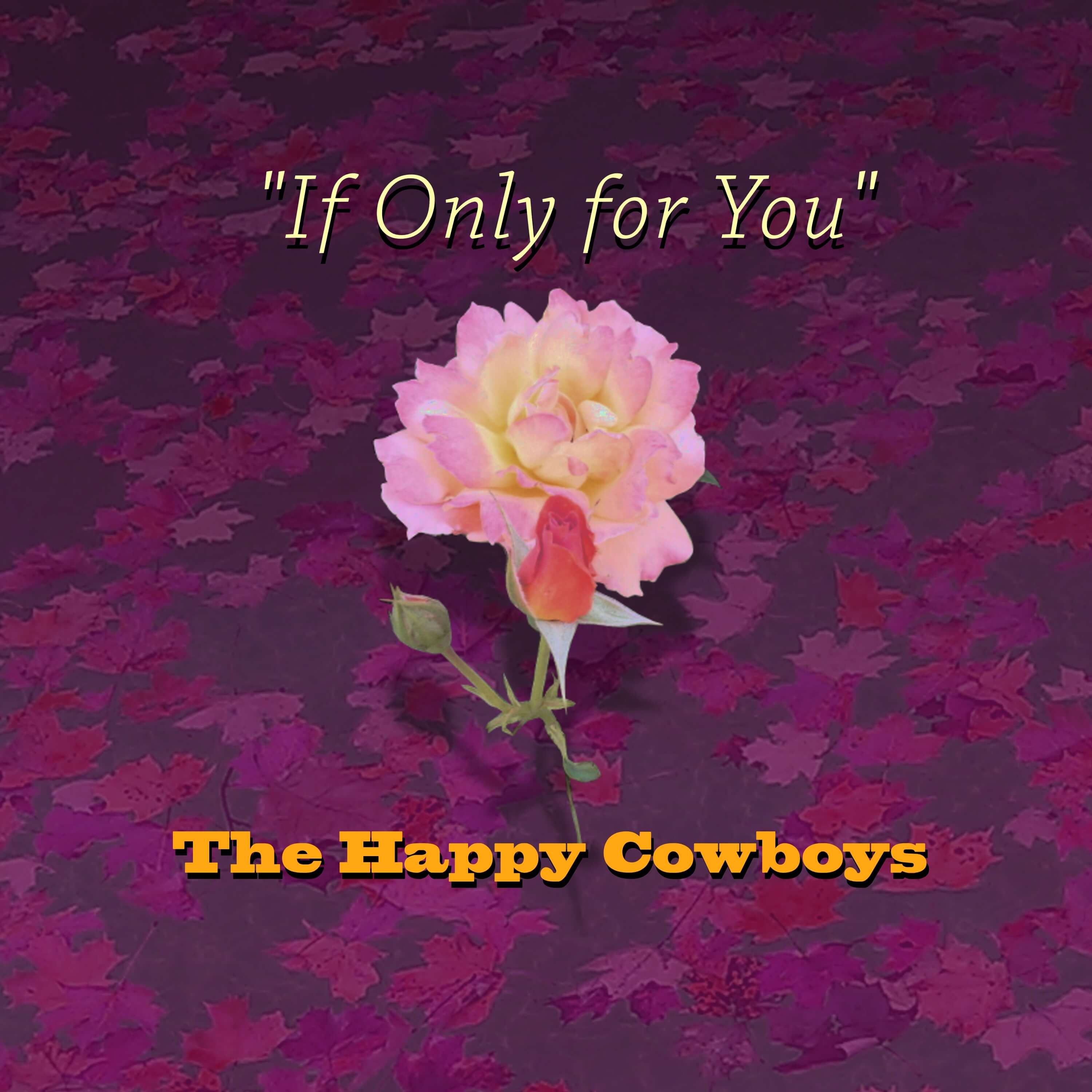 If Only for You - The Happy Cowboys